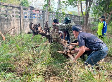 กิจกรรม “บ้านเมืองสะอาด บูชาคุณย่าโม” พารามิเตอร์รูปภาพ 21